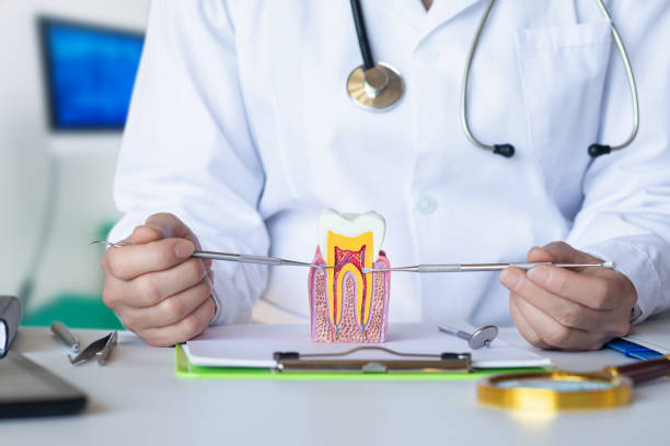 Best Emergency Denture Repair in Pauls Valley, OK